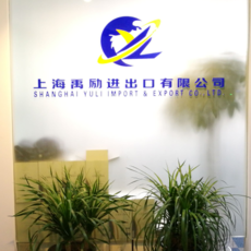 上海報關代理與軟件代理開發 雙輪驅動下的企業跨境與數字化新機遇